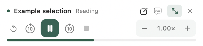 Real Mac floating controls with repeat, pause, seek and speed controls.